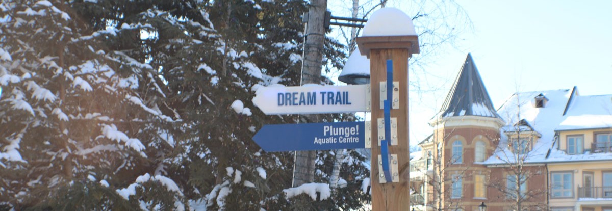 dream trail blue mountain ontario