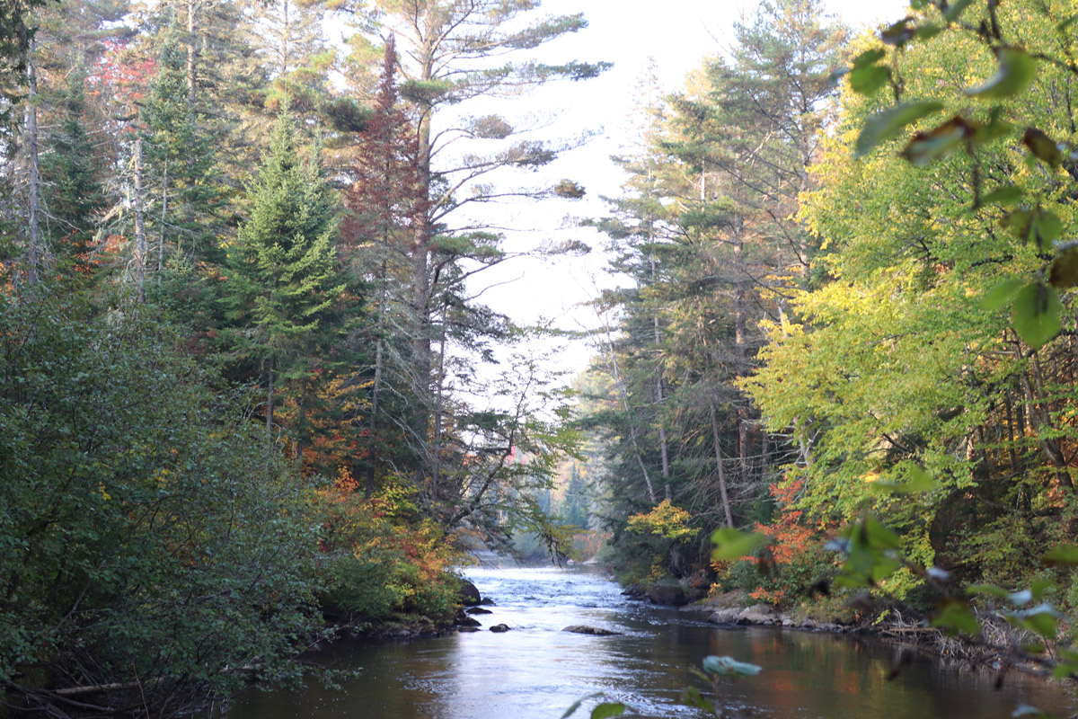 Whisky deals rapids trail